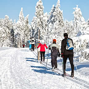 Langlaufen am Lipno: Loipen & Infos