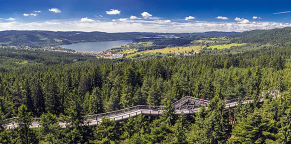 Baumwipfelpfad