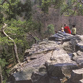 Durch die Moldau-Schlucht